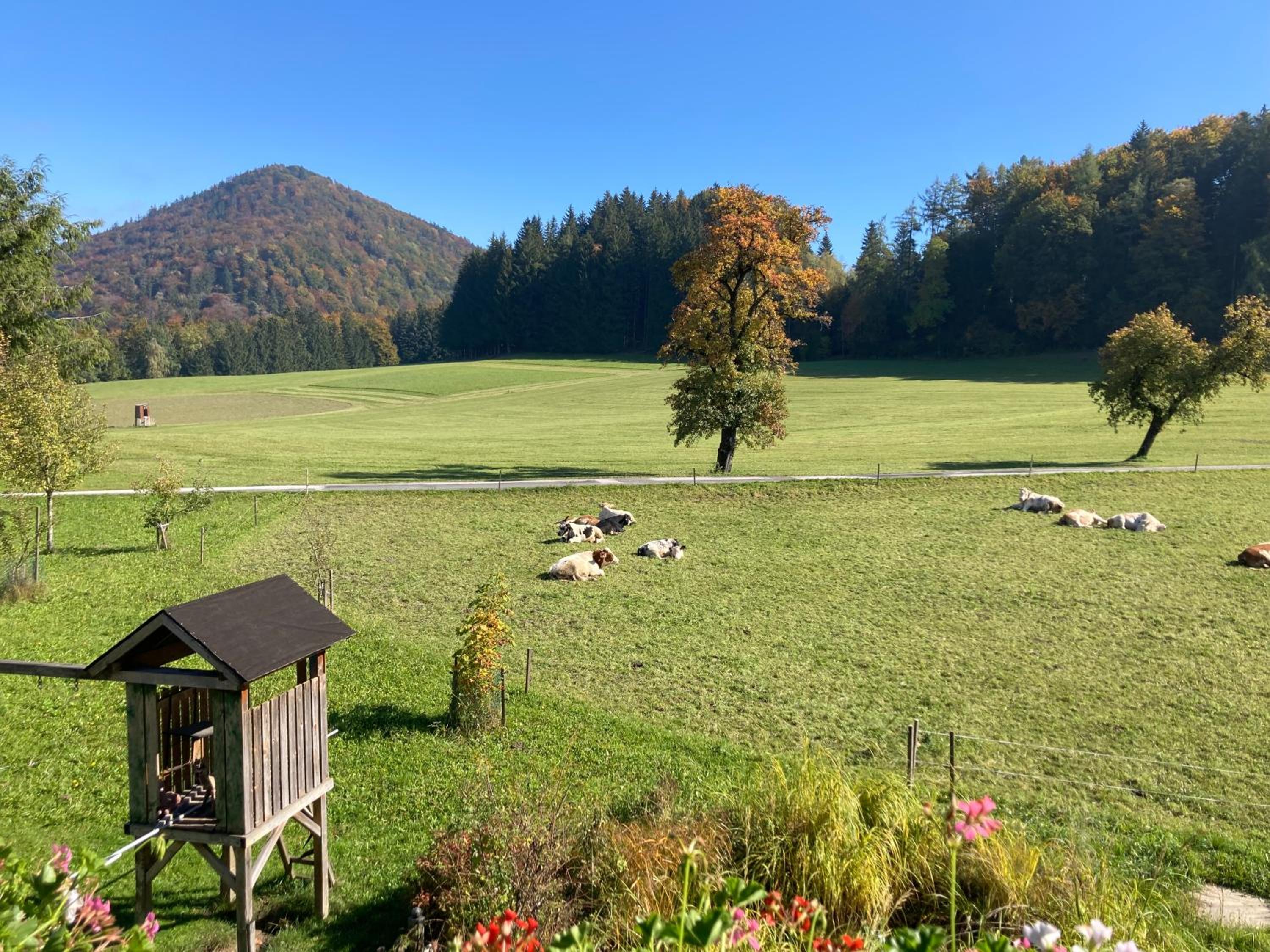 Obereggut