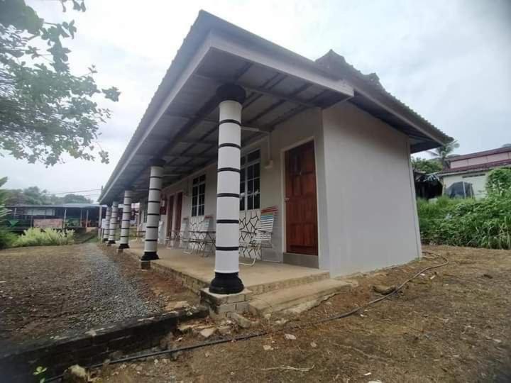 N2V Inn photo 1