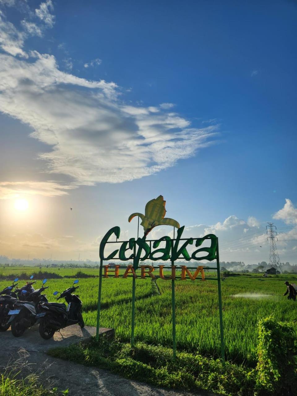 Villa cahaya cepaka munggu view 5