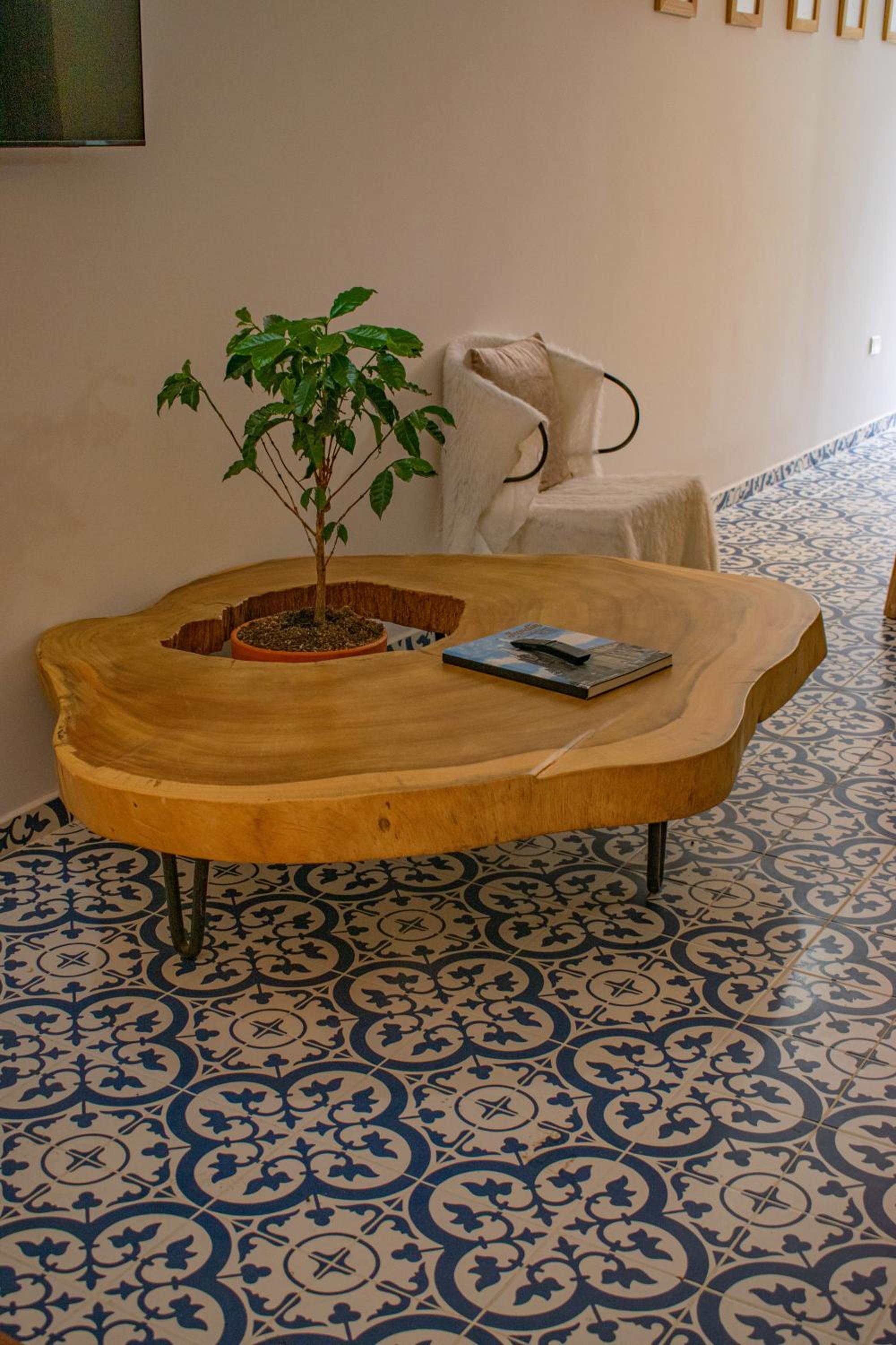 Eco Apartamento Crudo