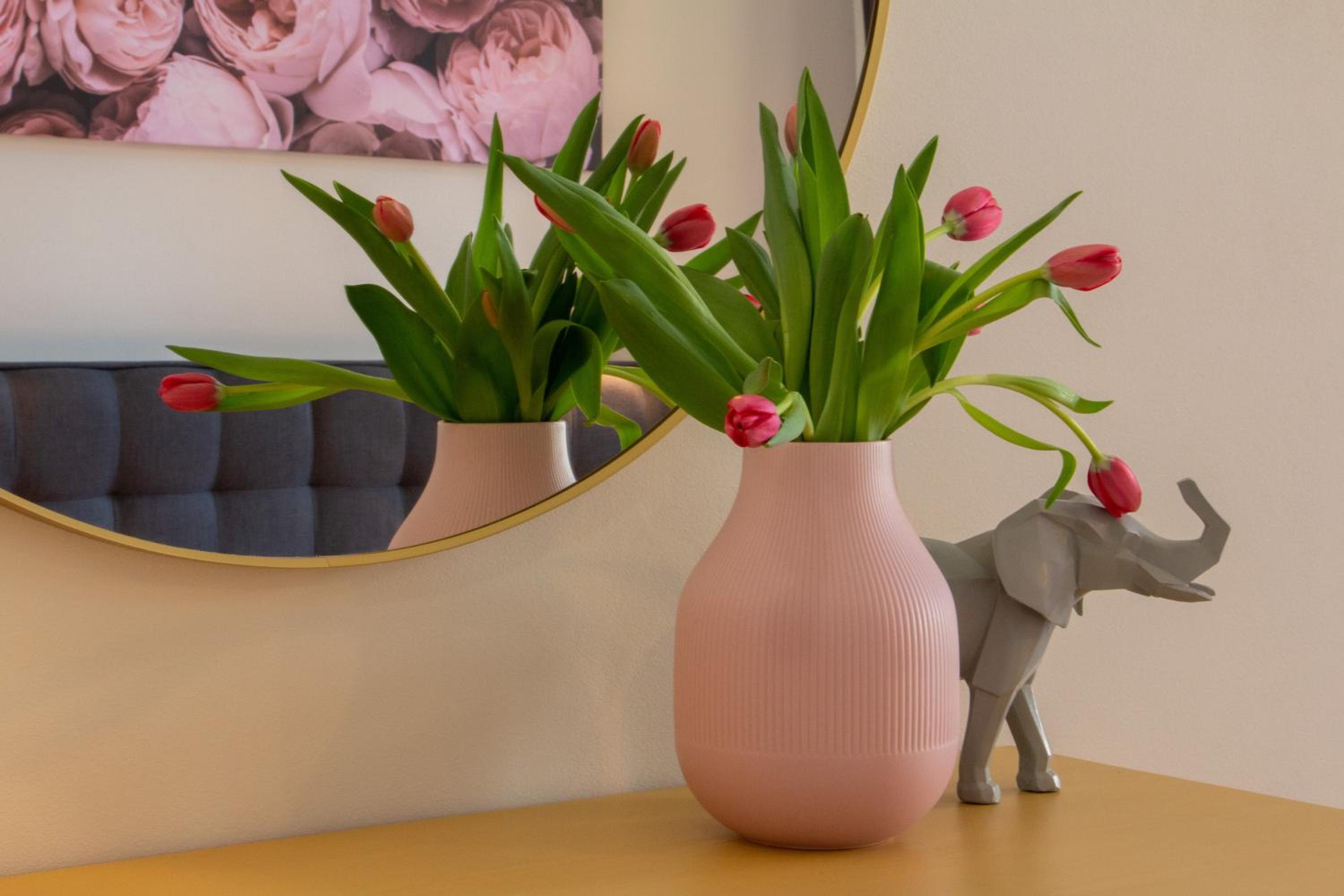 Stay Inn Apartments Ve smeckah