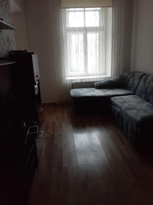Cozy place w free parking and pet