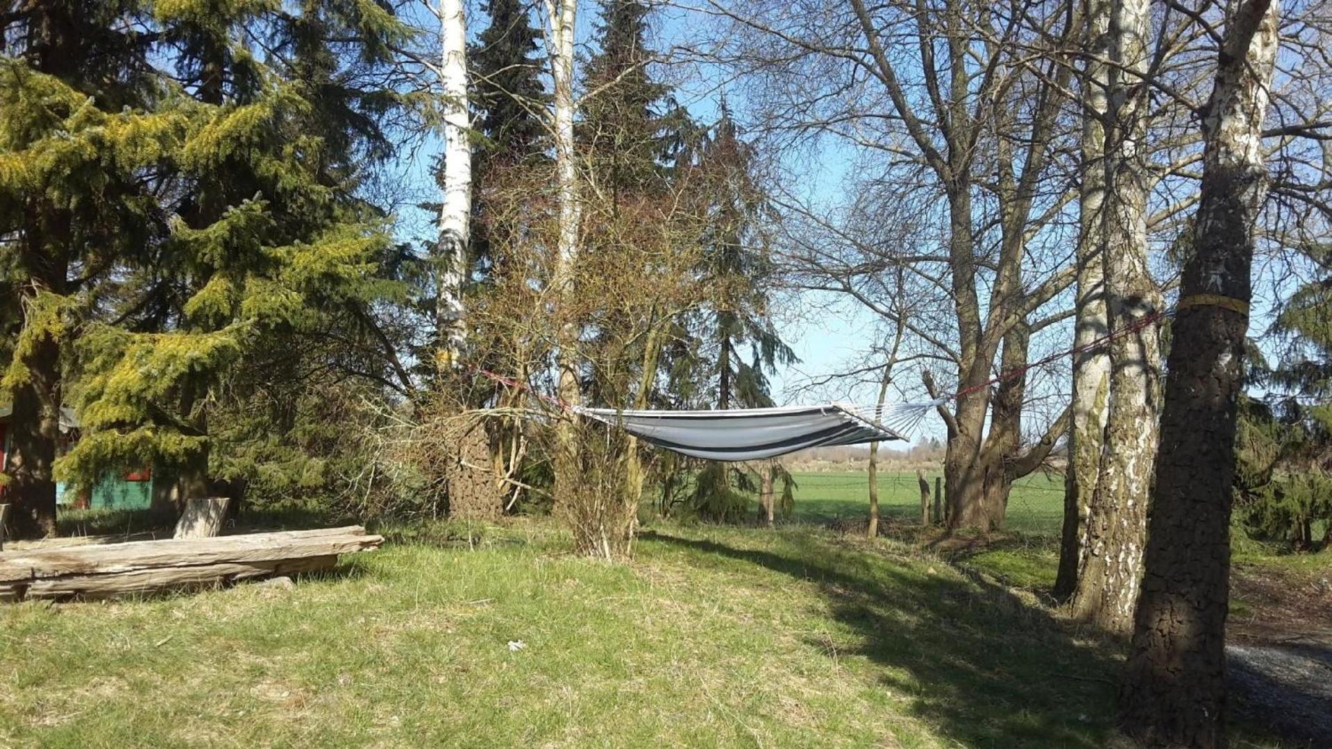 Ferienhaus in Kellenhusen mit Eigener Terrasse - a87701