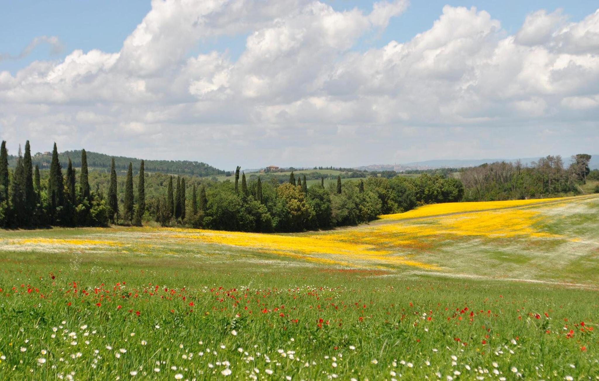 Casa Vacanze Vittorio