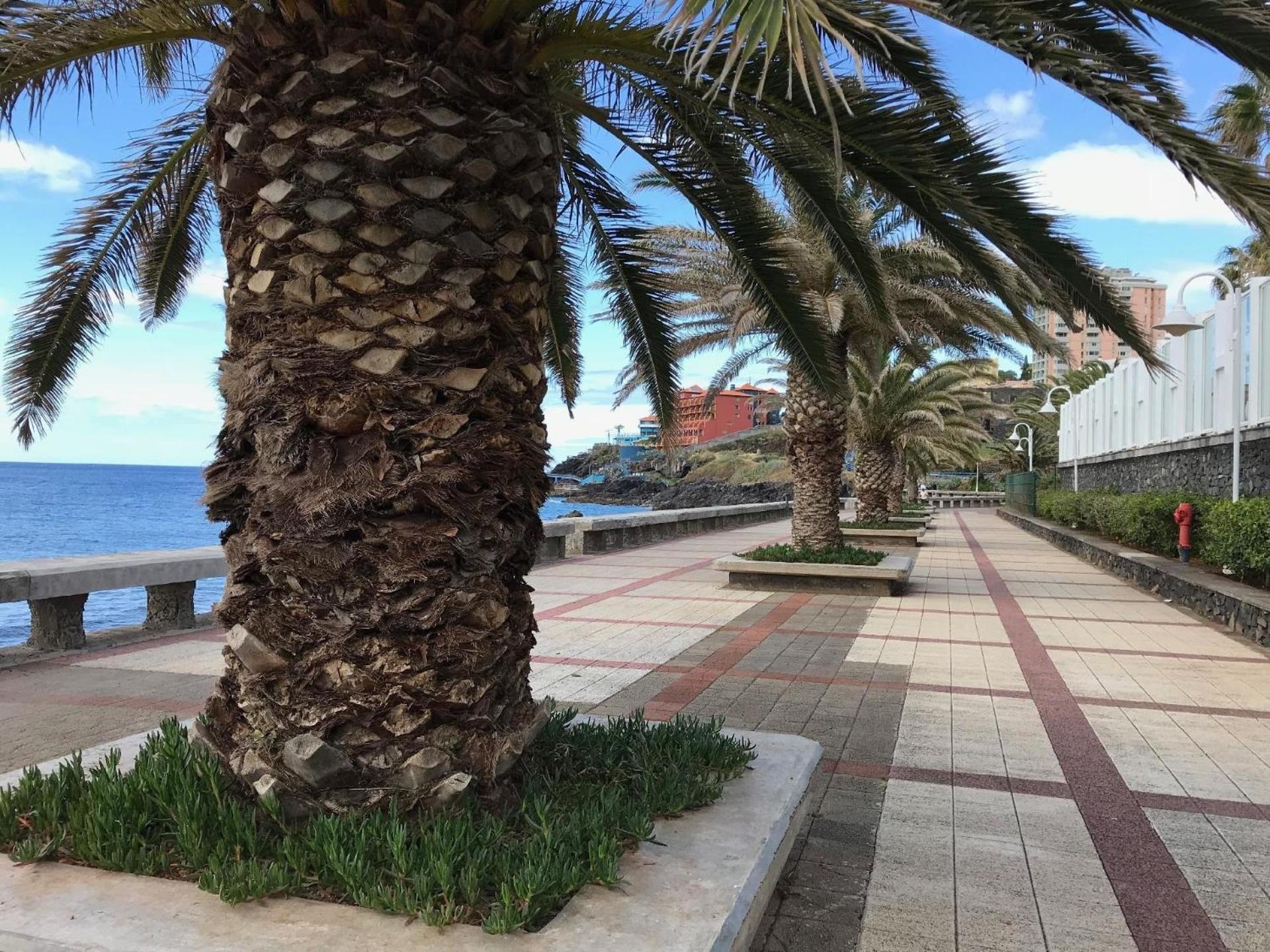 Ferienwohnung für 8 Personen ca 120 m in Canico, Madeira Südküste von Madeira view 2