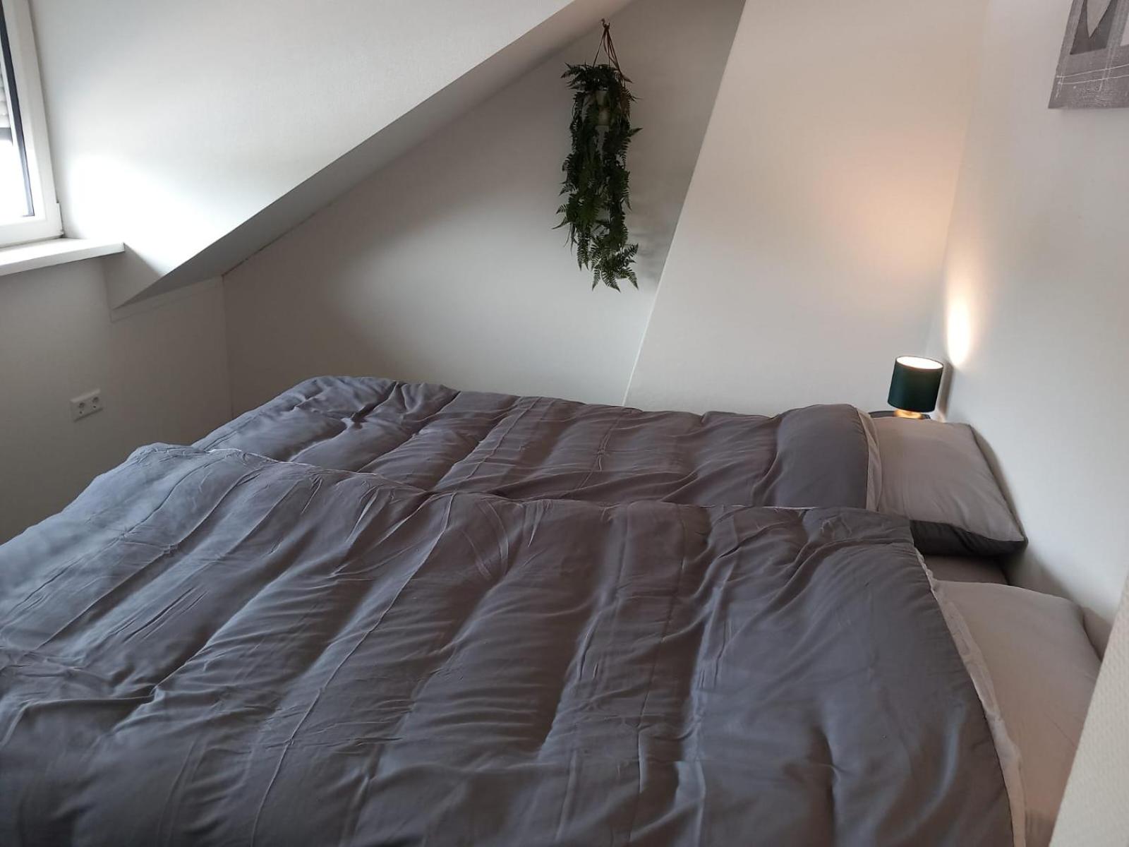 Penthouse centrum Krabbendijke
