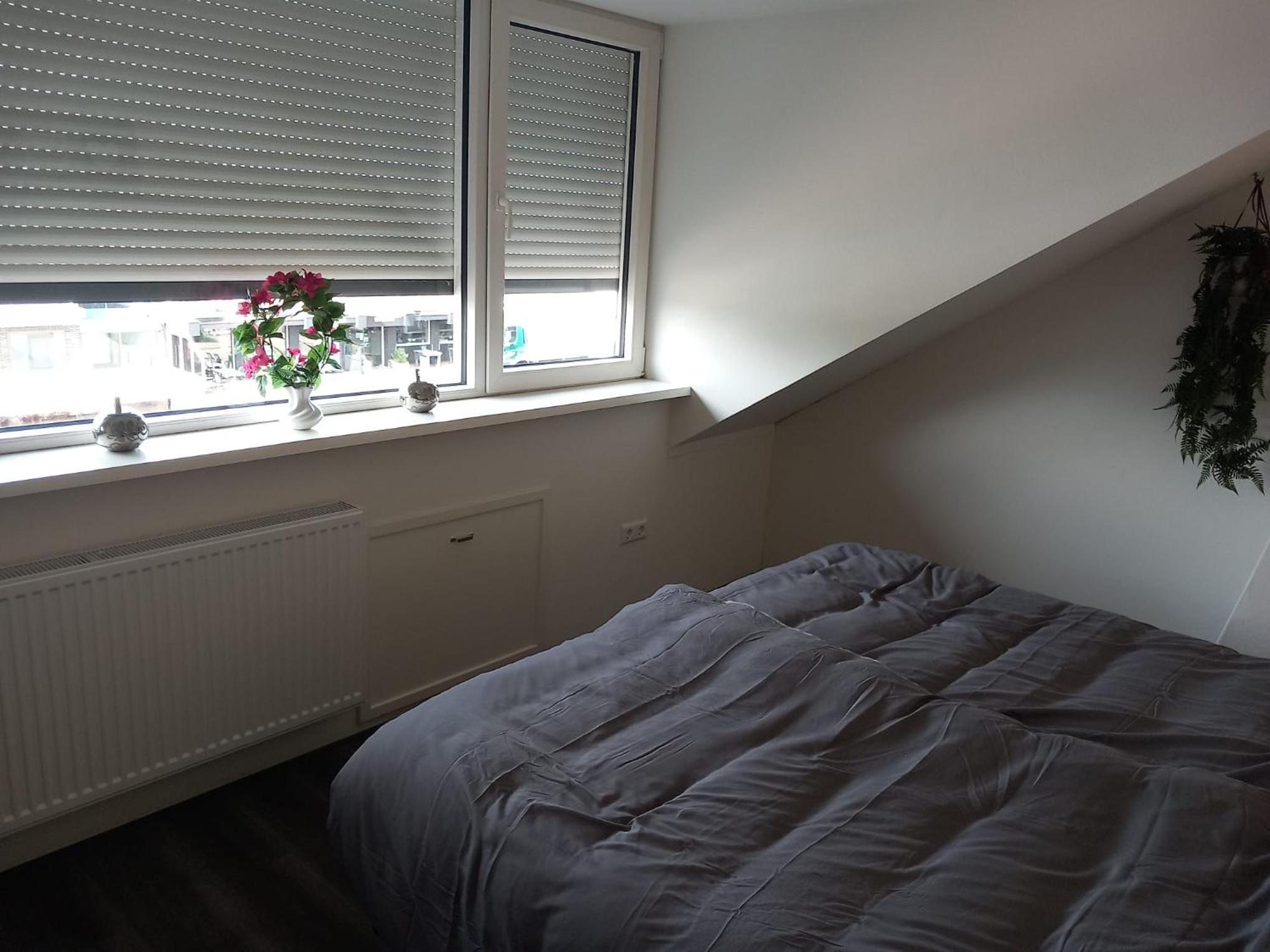 Penthouse centrum Krabbendijke