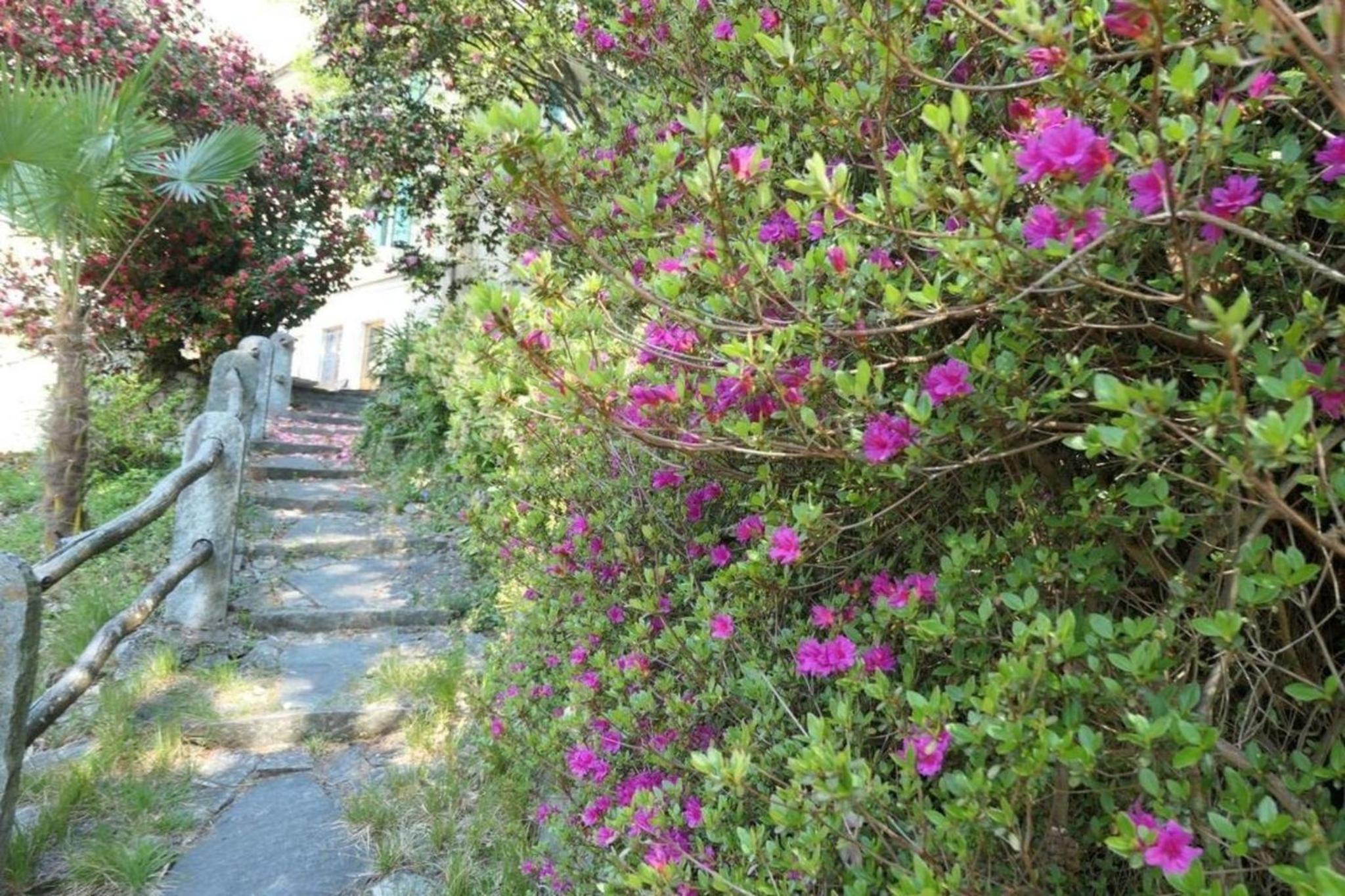 La Pineta