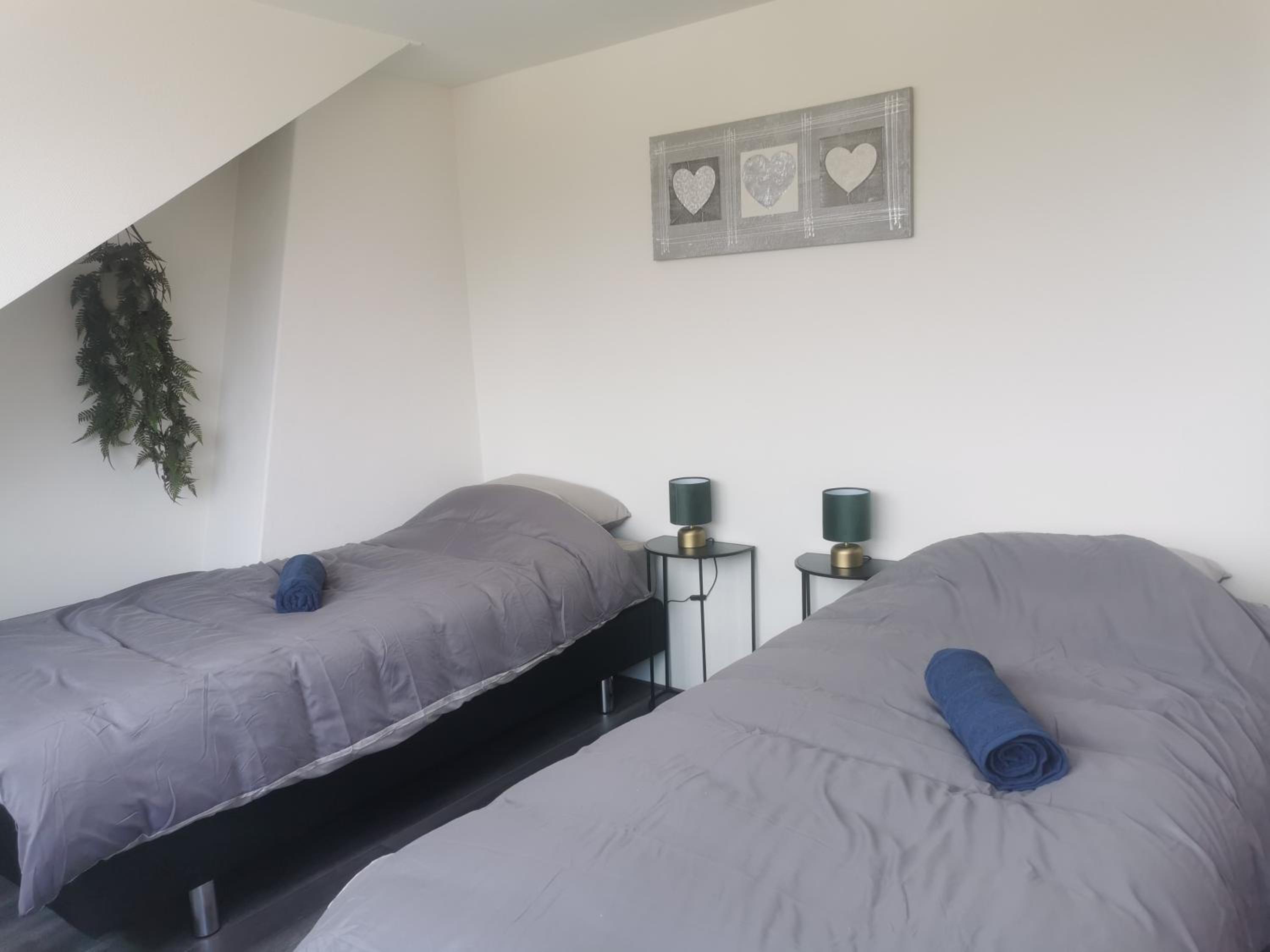 Penthouse centrum Krabbendijke