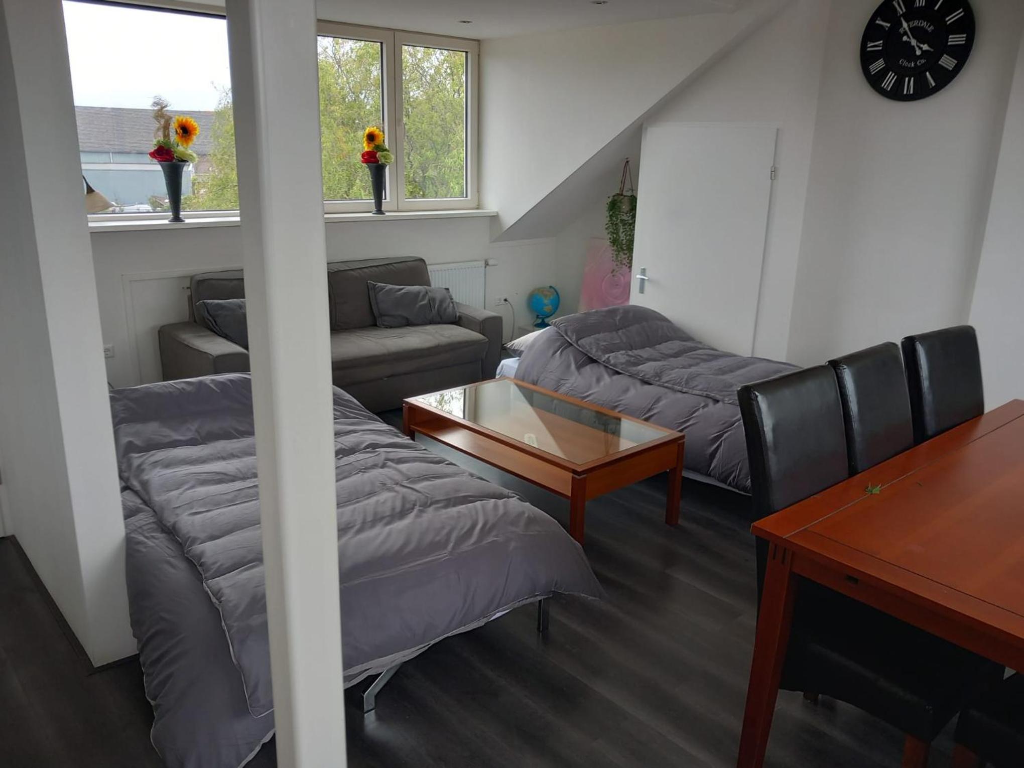 Penthouse centrum Krabbendijke