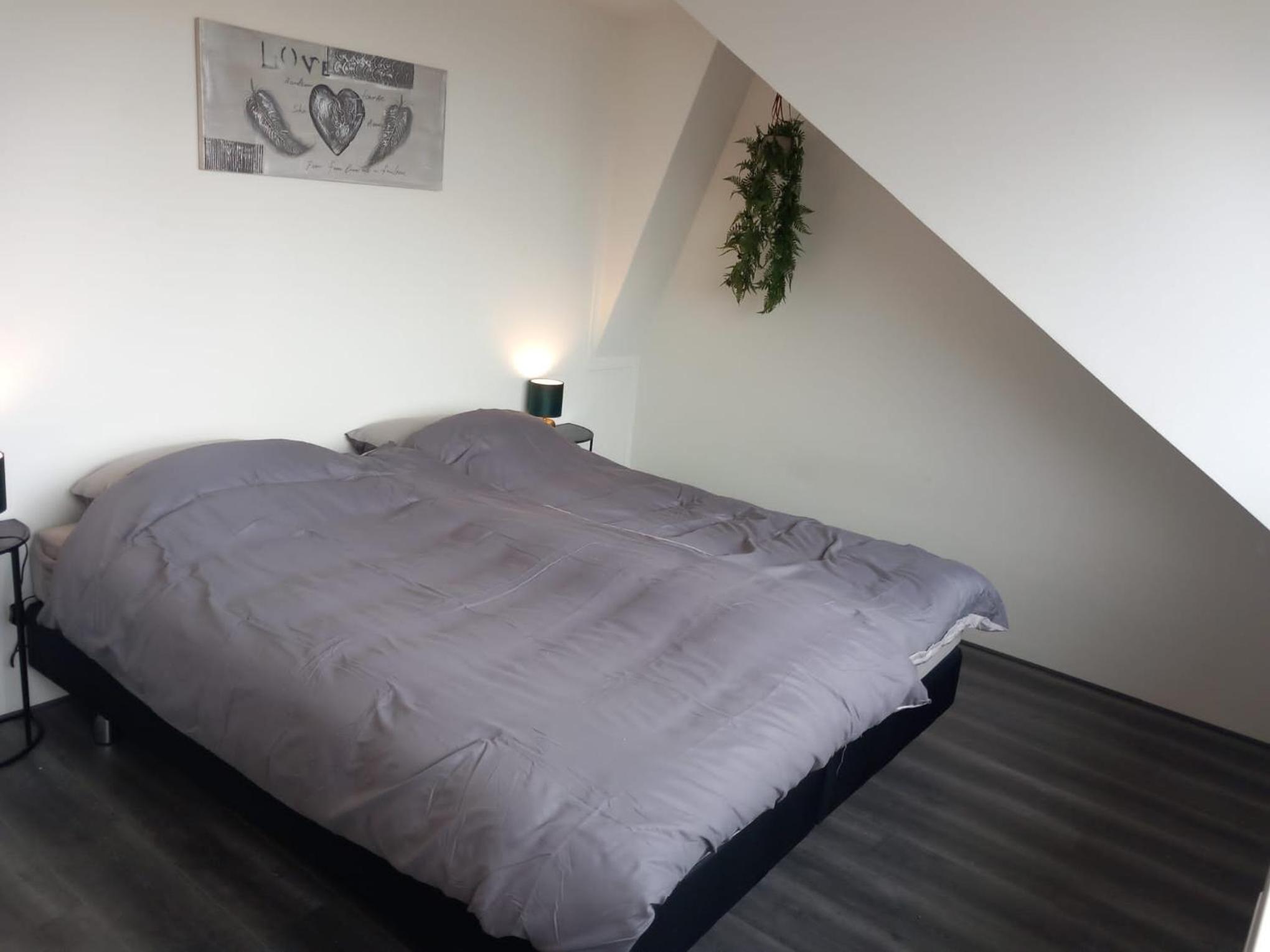 Penthouse centrum Krabbendijke