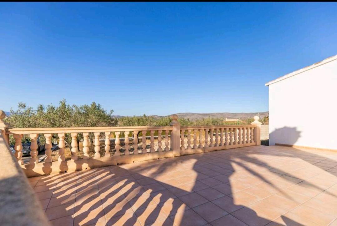 los olivos