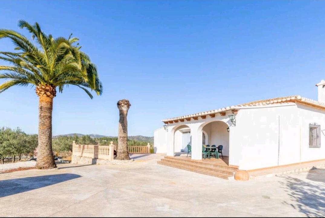 los olivos