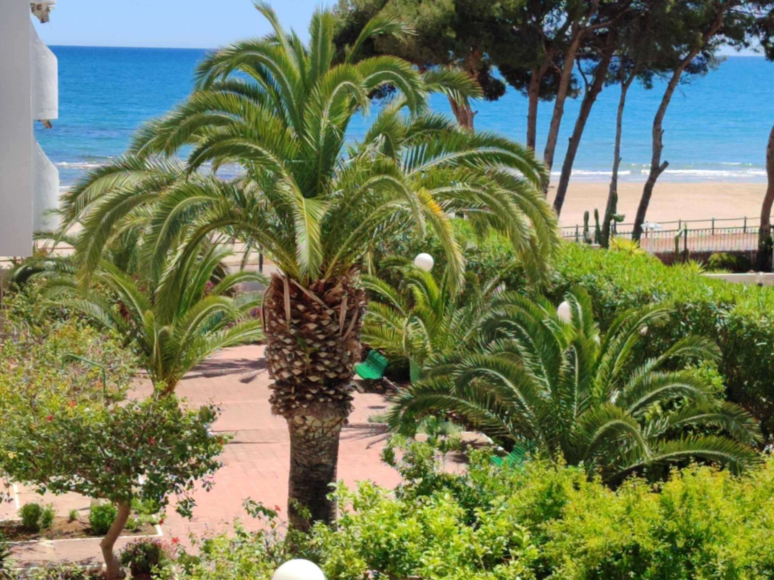 Apartamento 1 linea playa view 3
