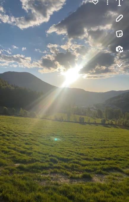 Koselig gårdshus