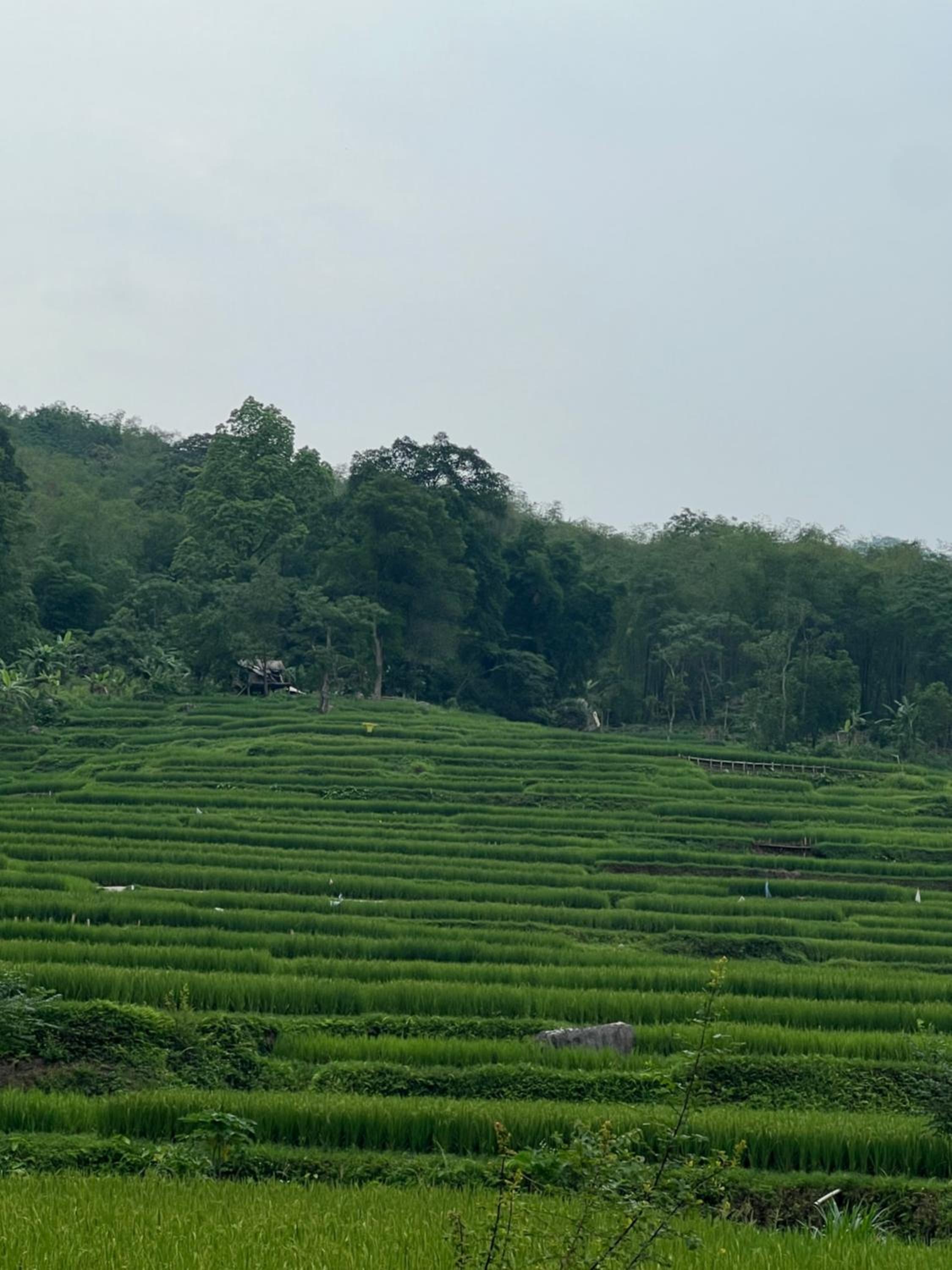 Homestay Nhà Của Chi Food&Coffee