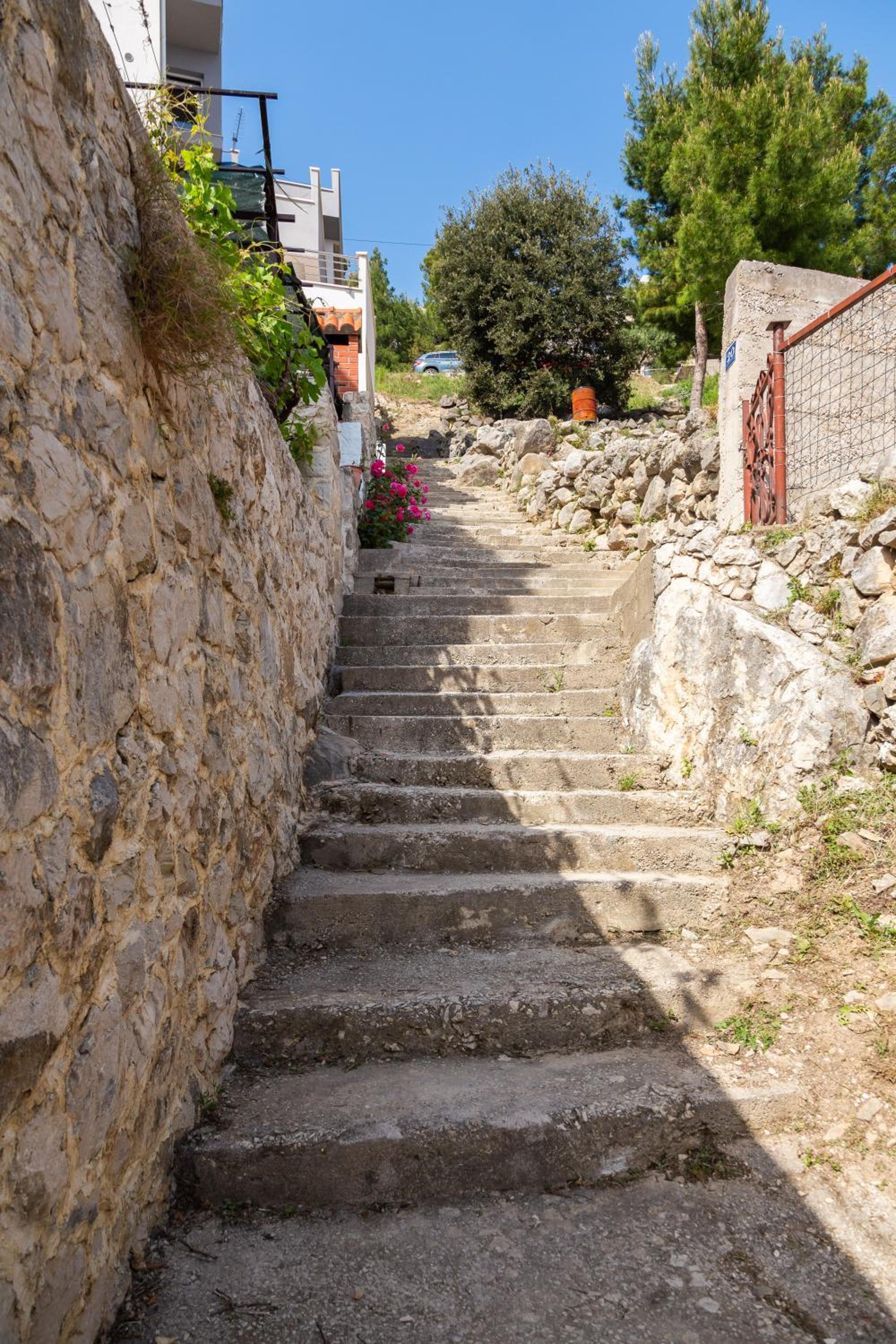 Photo 33