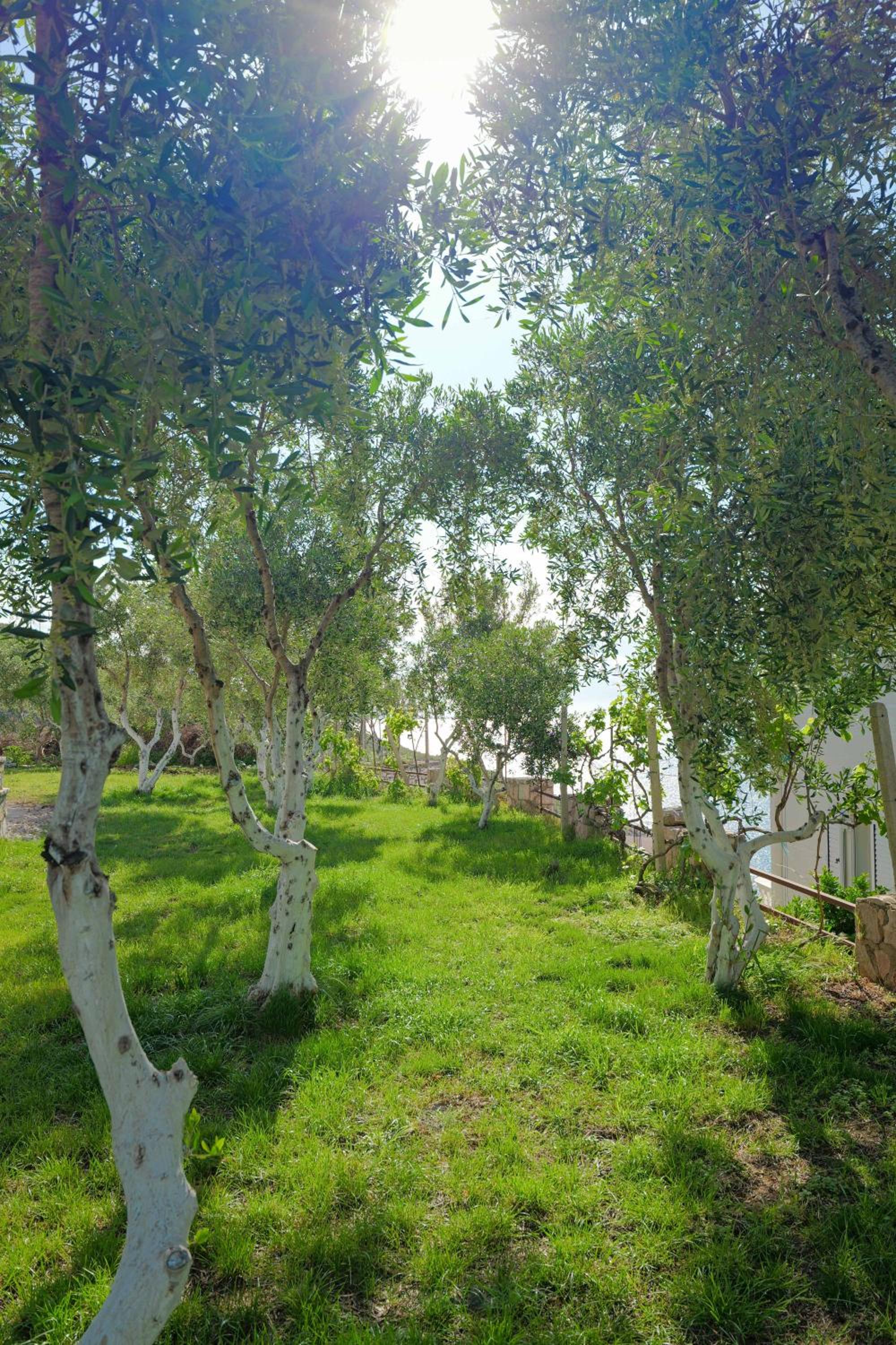 Koloseo Rezidence Sarande