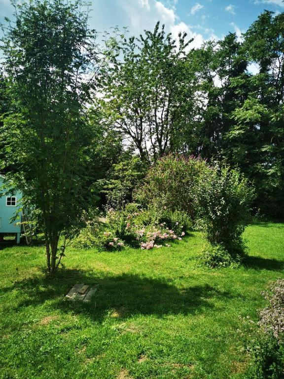 Cosy two rooms in nature
