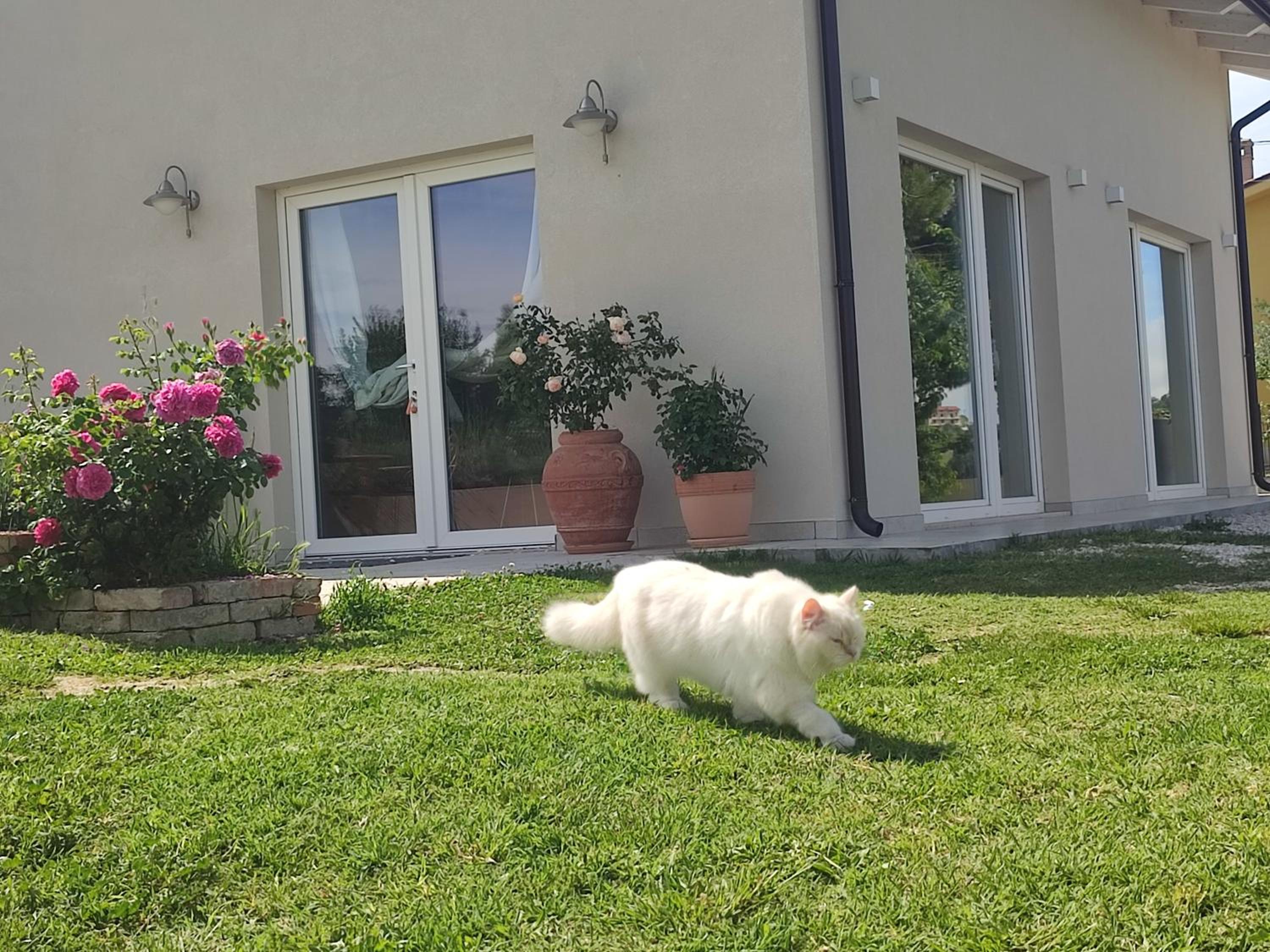 Photo 48
