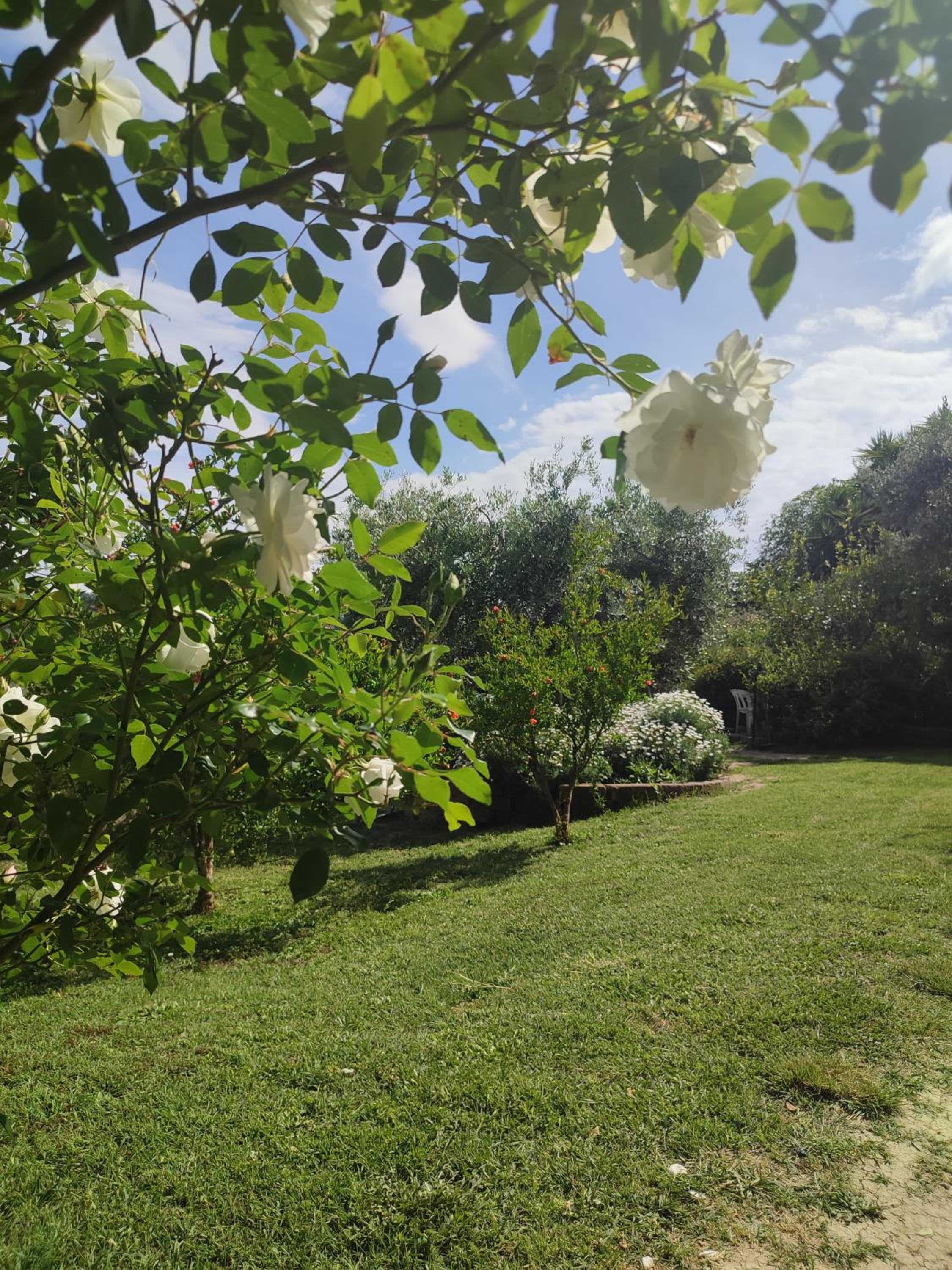Photo 47