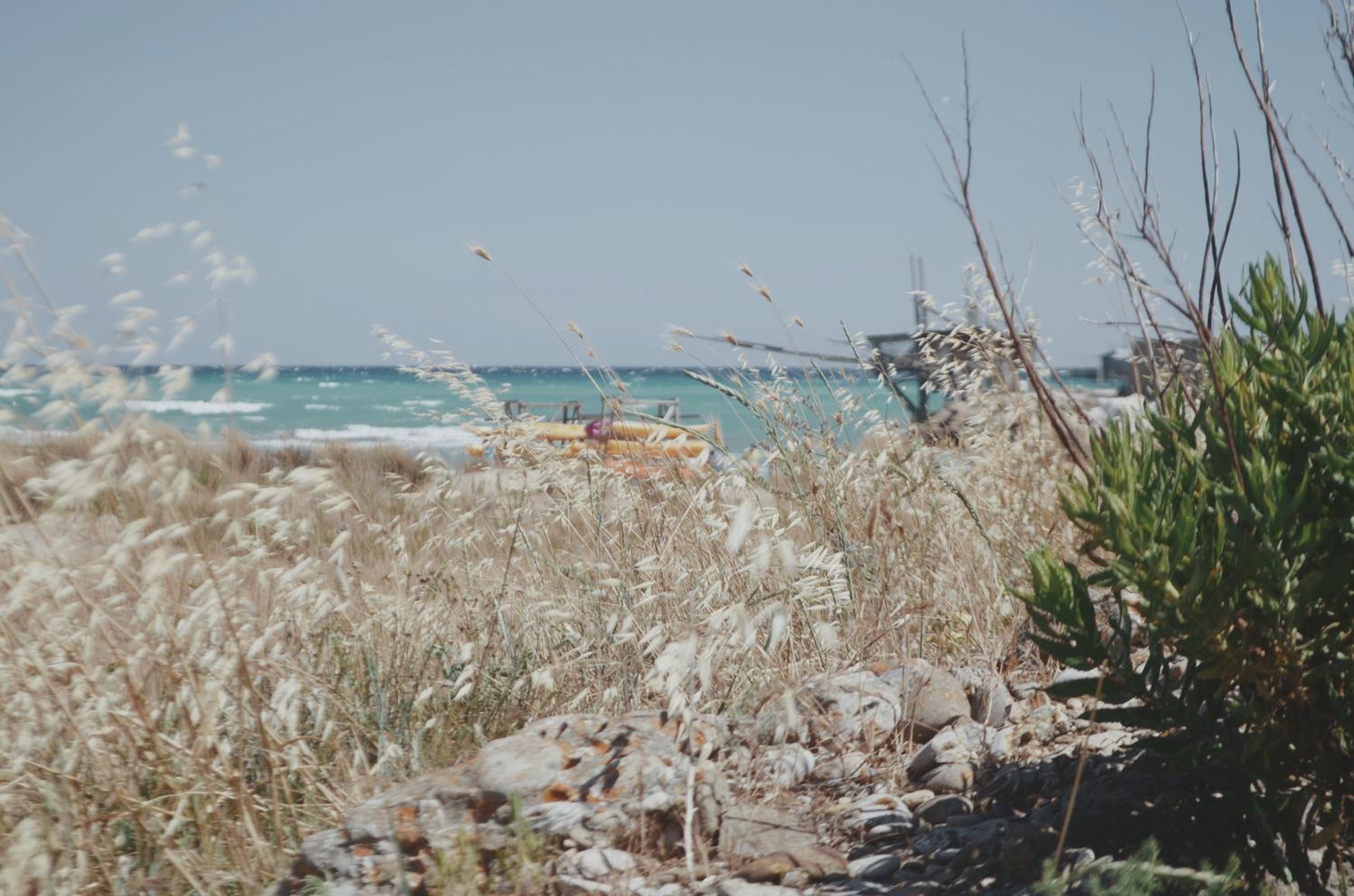 Punta Penna Seahouse