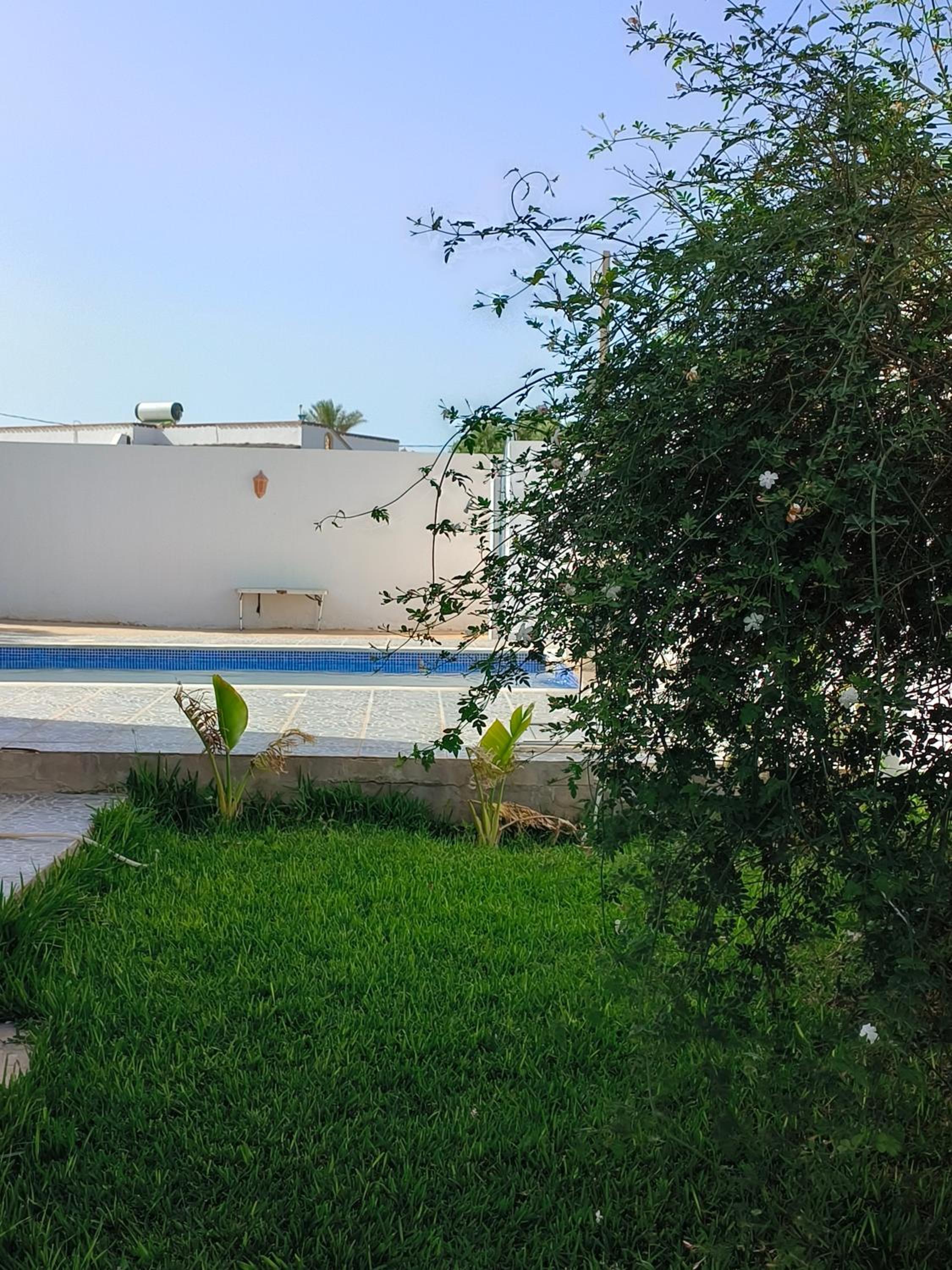 Photo 27