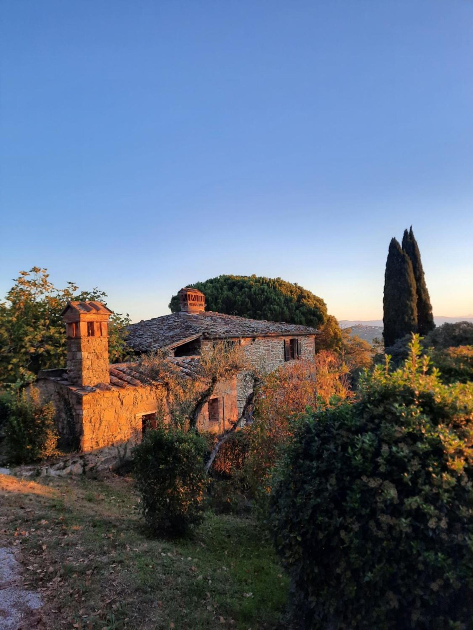 Gli sterpi