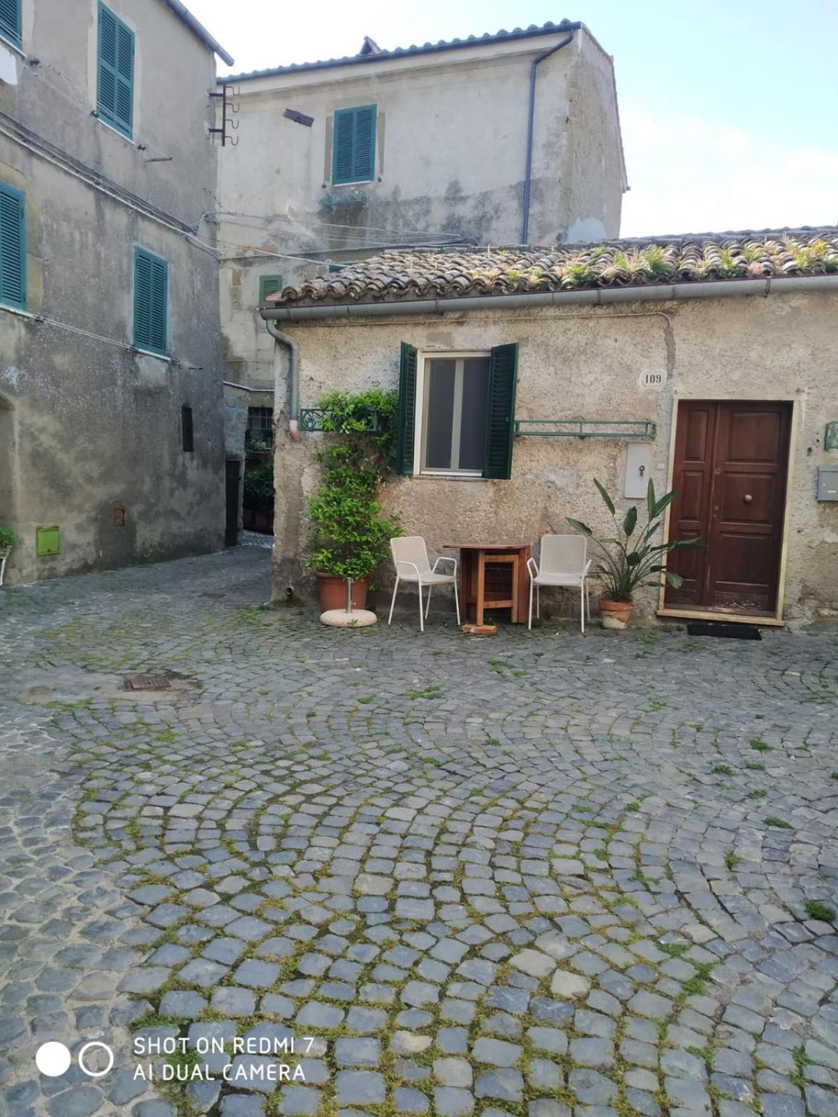 Living into History view 5