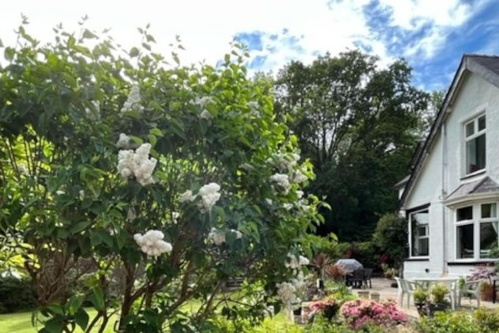 Glynllifon Country House Sleeps 15 near Abersoch view 2