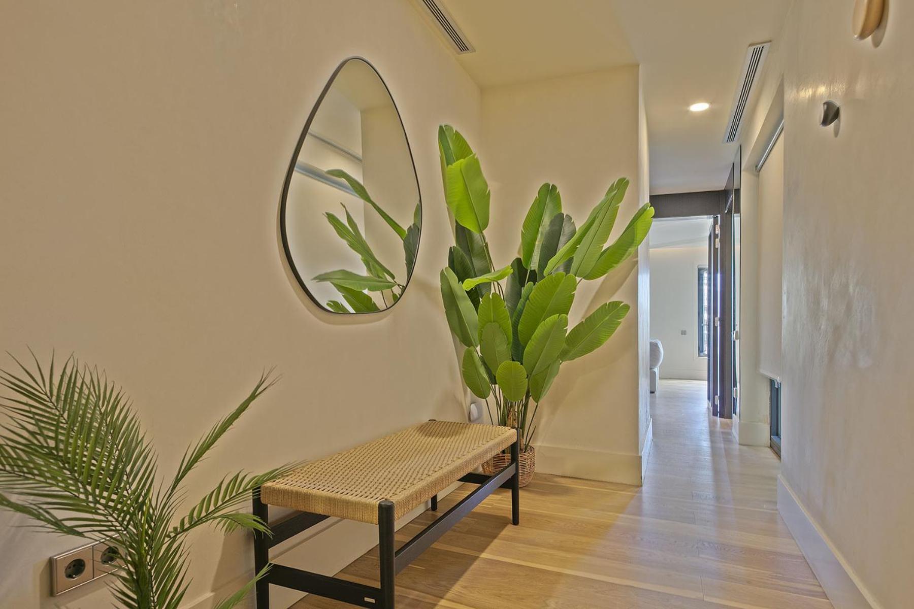 Ola Living Paseo de Gracia