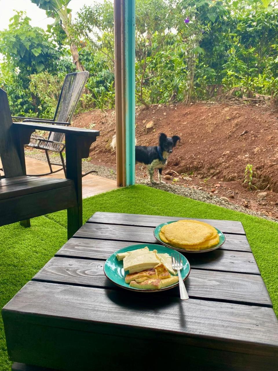 Jessie's Country House Rivas