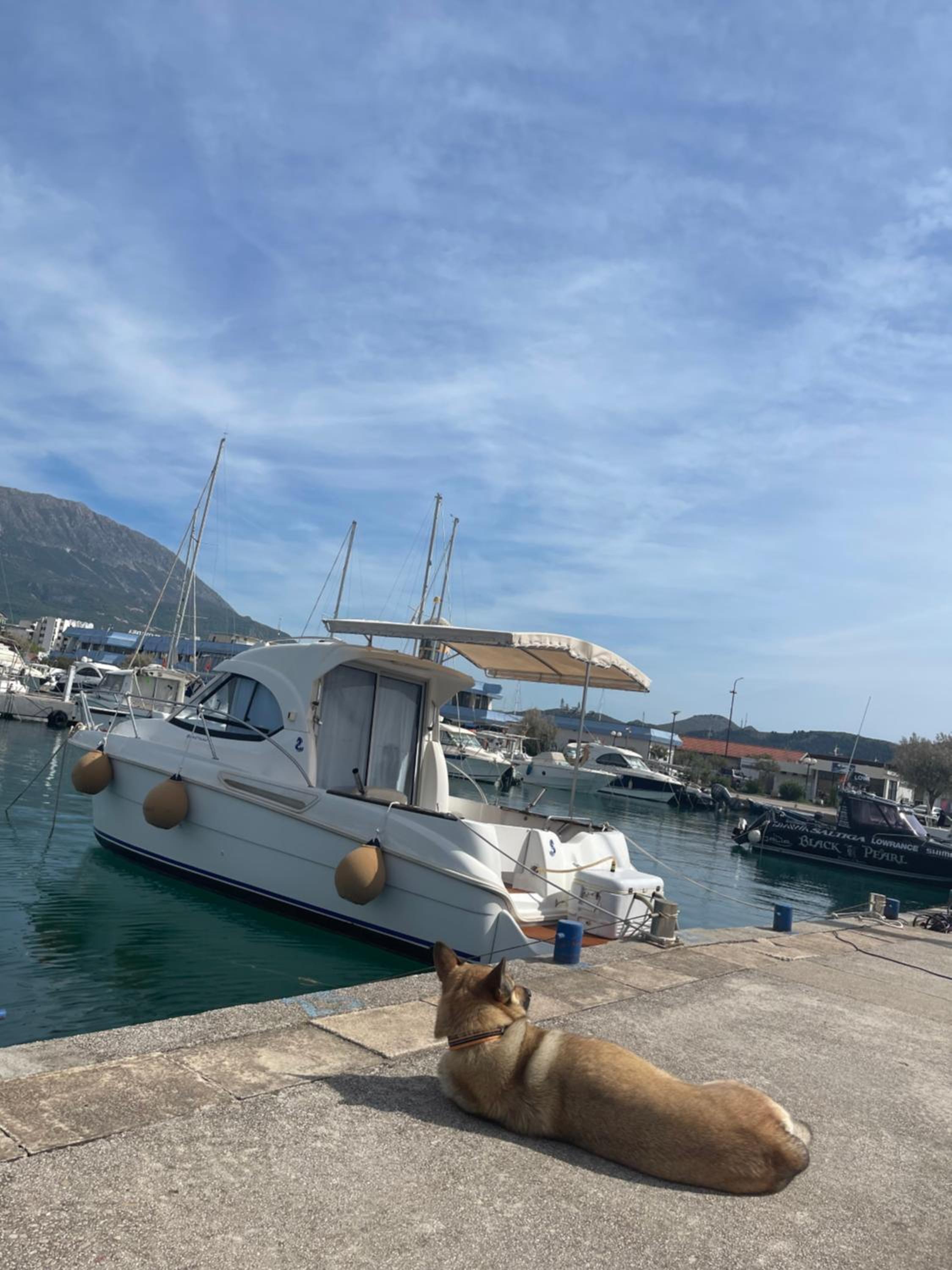 Rent a boat Montenegro UMA view 4