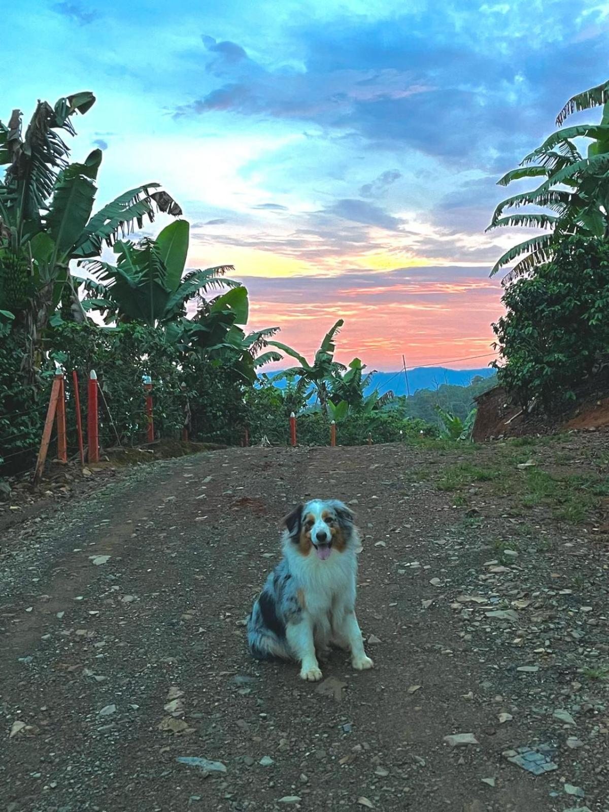 Jessie's Country House Rivas