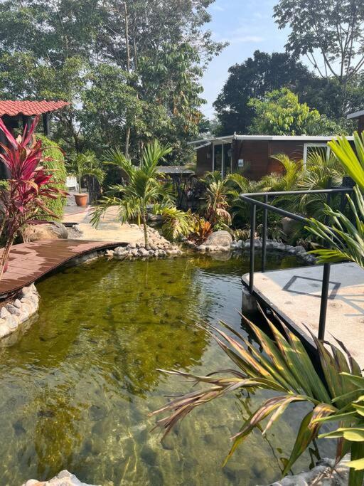 Gaspar Arenal Volcano