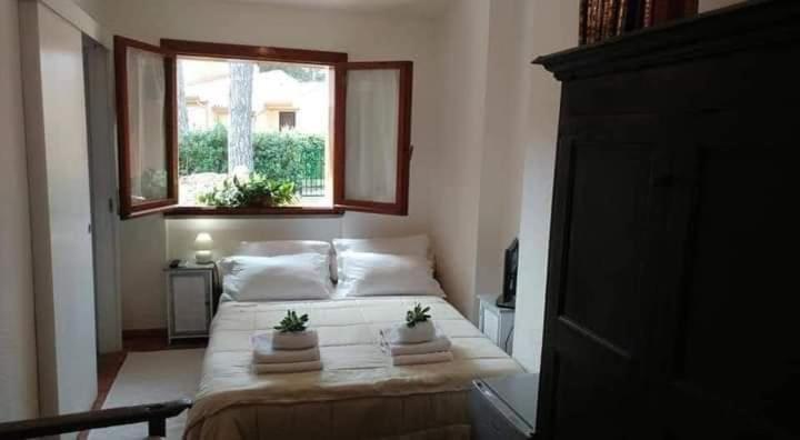 Casa Helichrysum