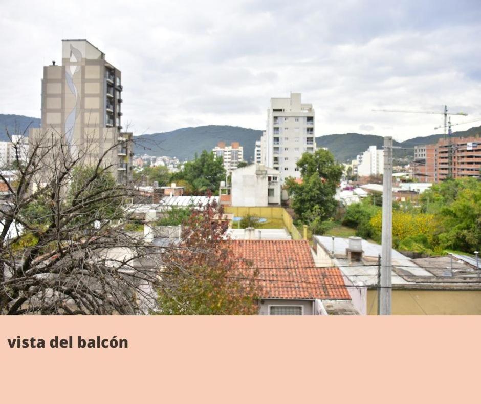 DEPARTAMENTO PUEYRREDON SALTA Capital