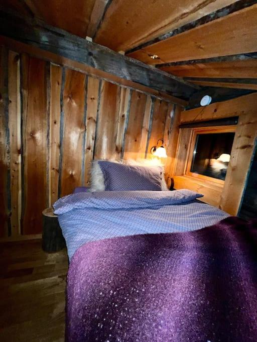 Sunshine luxury cabin