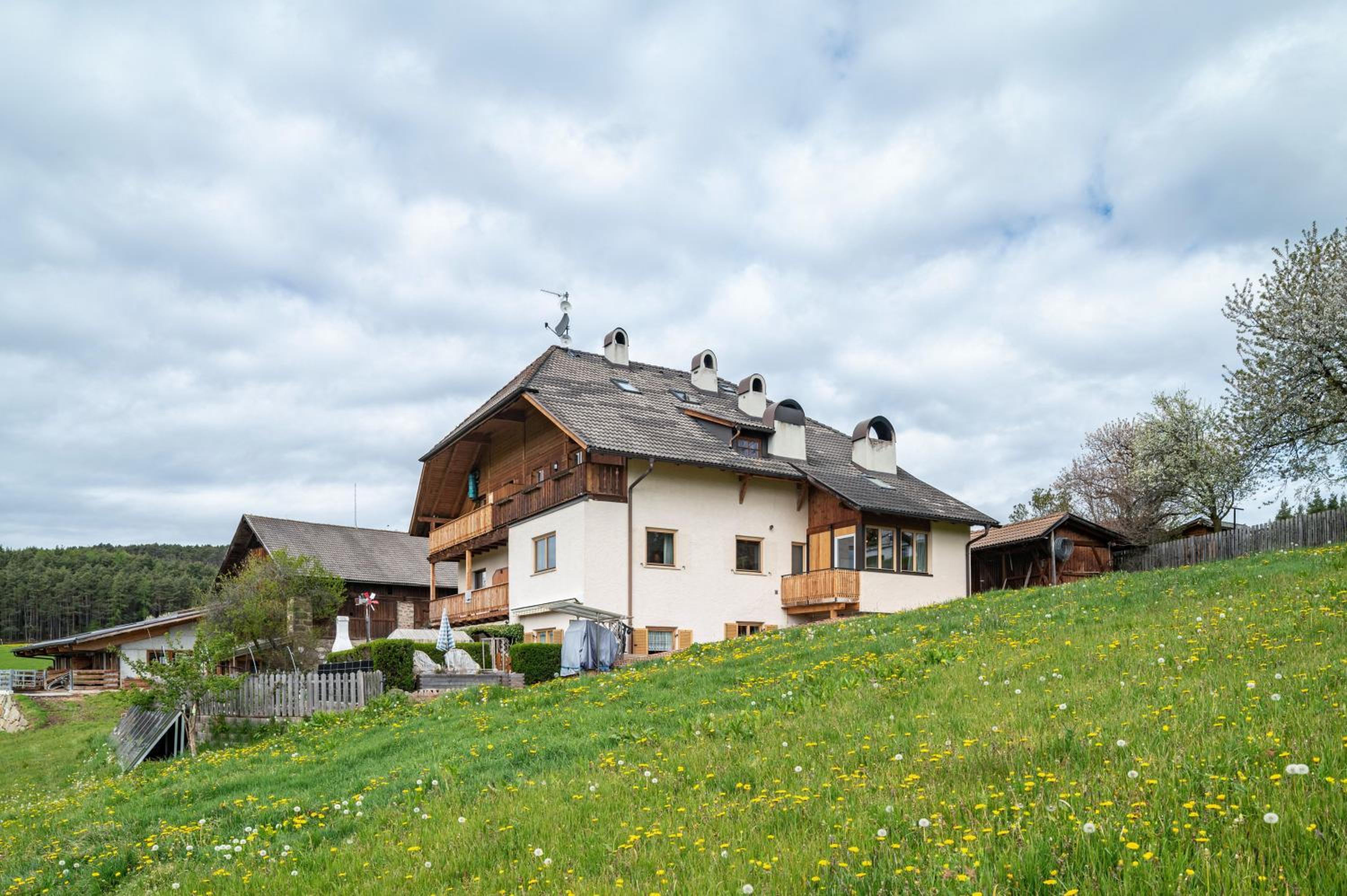 Ferienwohnung Schlern Bio Schrofhof view 5