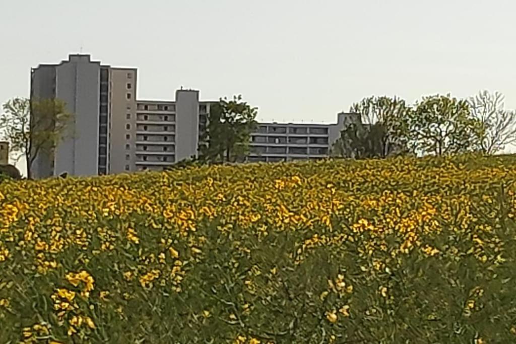 Ferienwohnung mit Weitblick & Strandlage