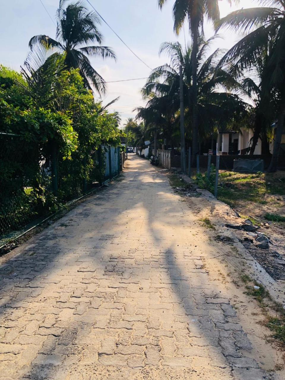 Photo 16