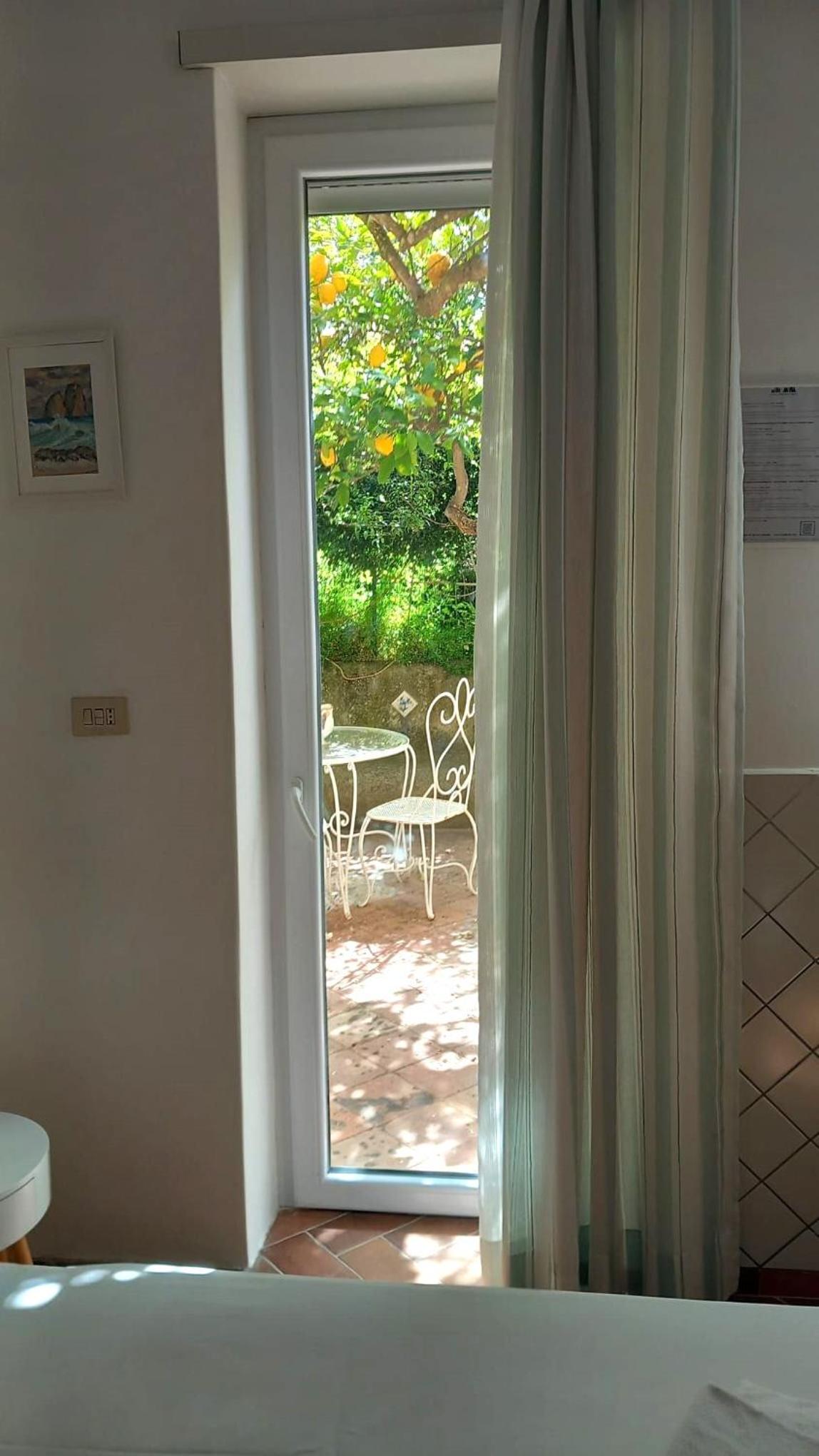 Photo 40