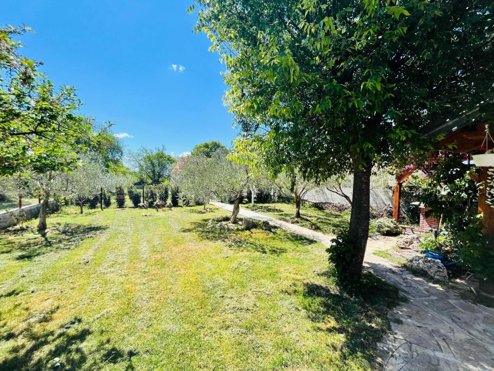 Studio Apartmani Sladakovic