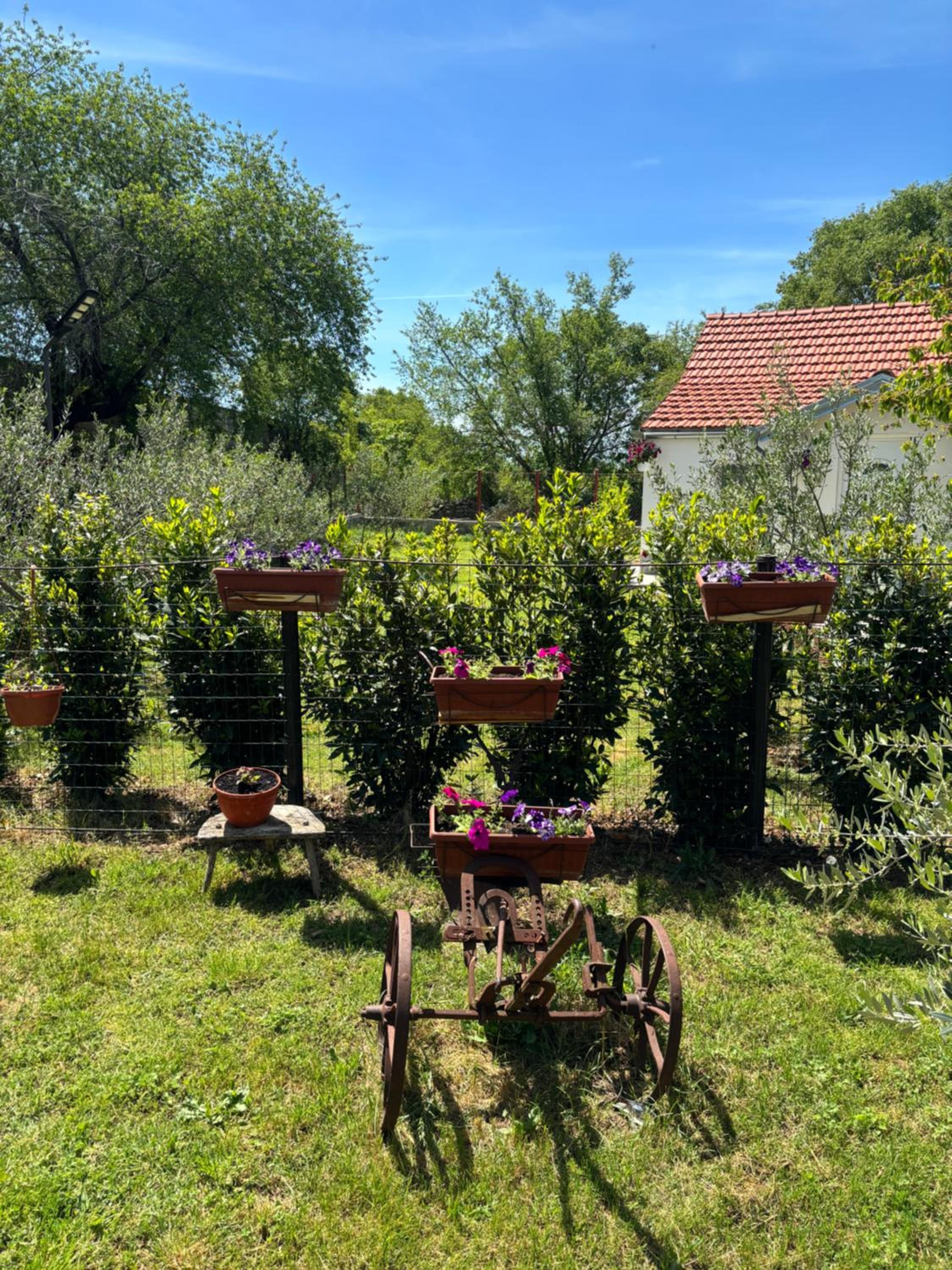 Studio Apartmani Sladakovic