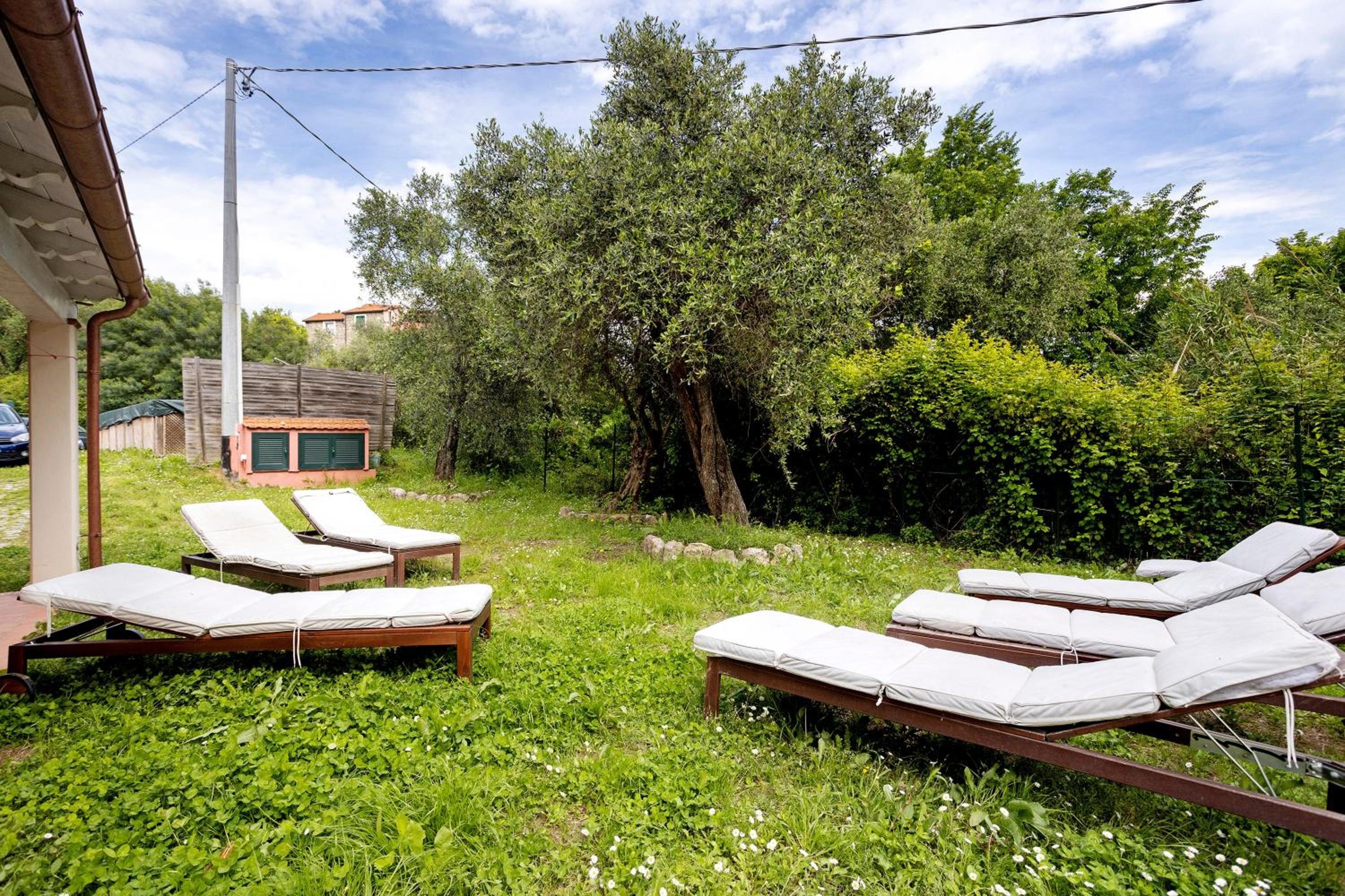 Casa Conte Picedi Vineyars view 4