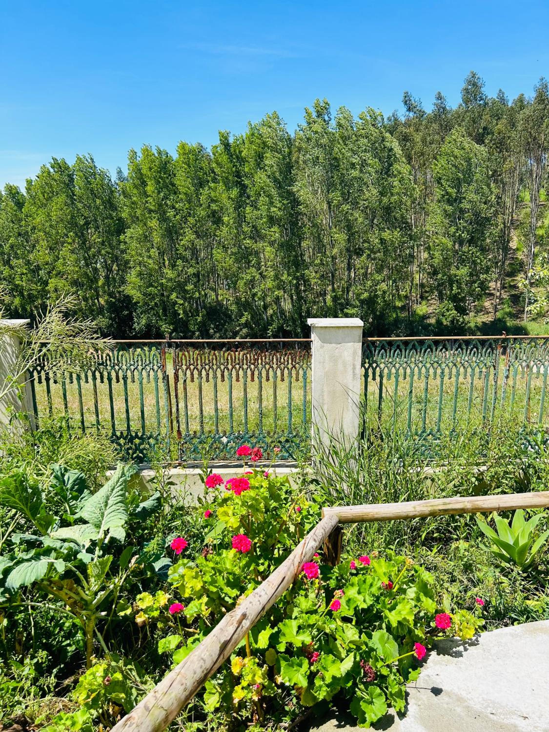 Mãe Home Carril view 3