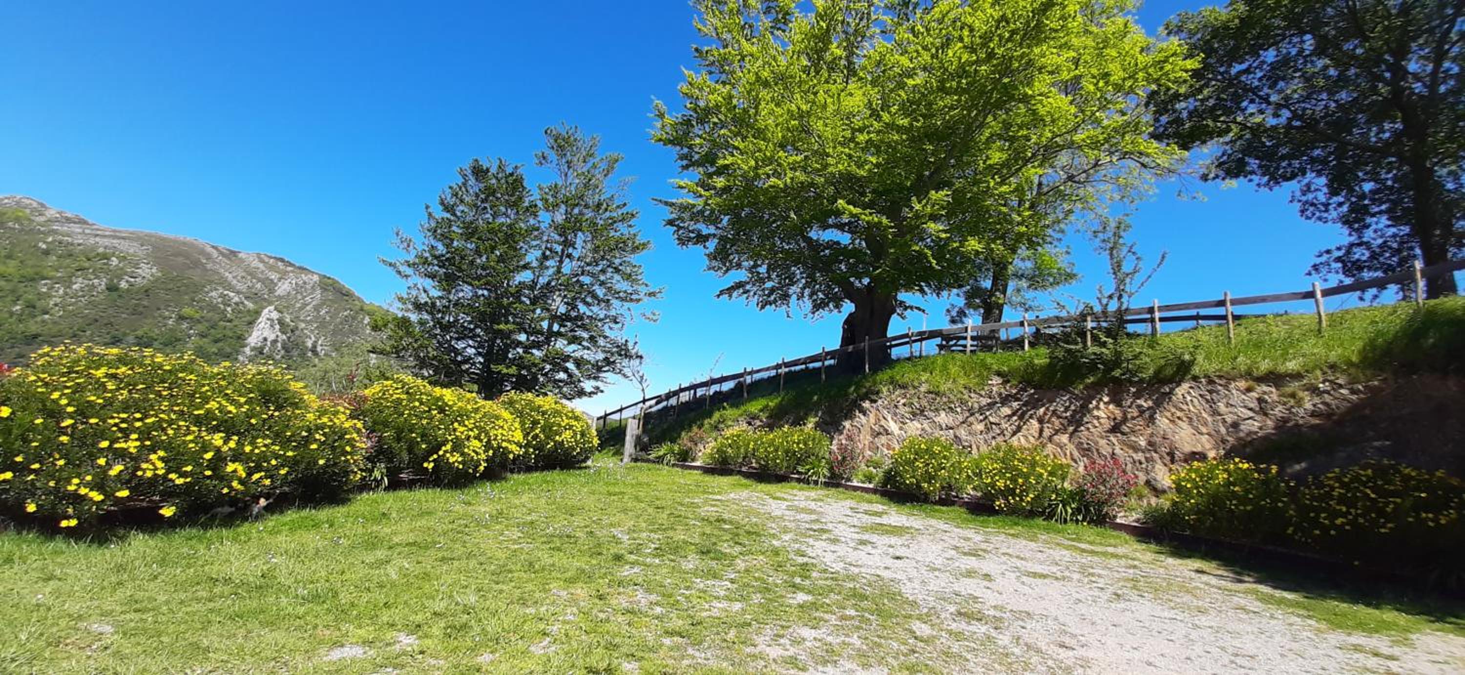 Ondarbaso Apartamentos Rurales I