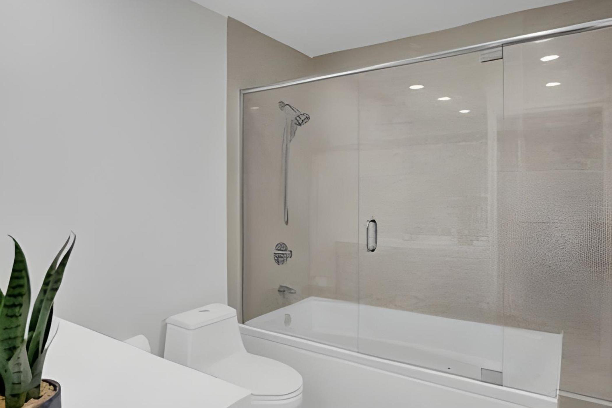 Luxury Miami Villa view 5