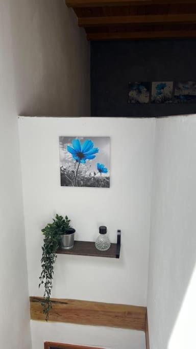 Ca la Trini Vivienda Vacacional