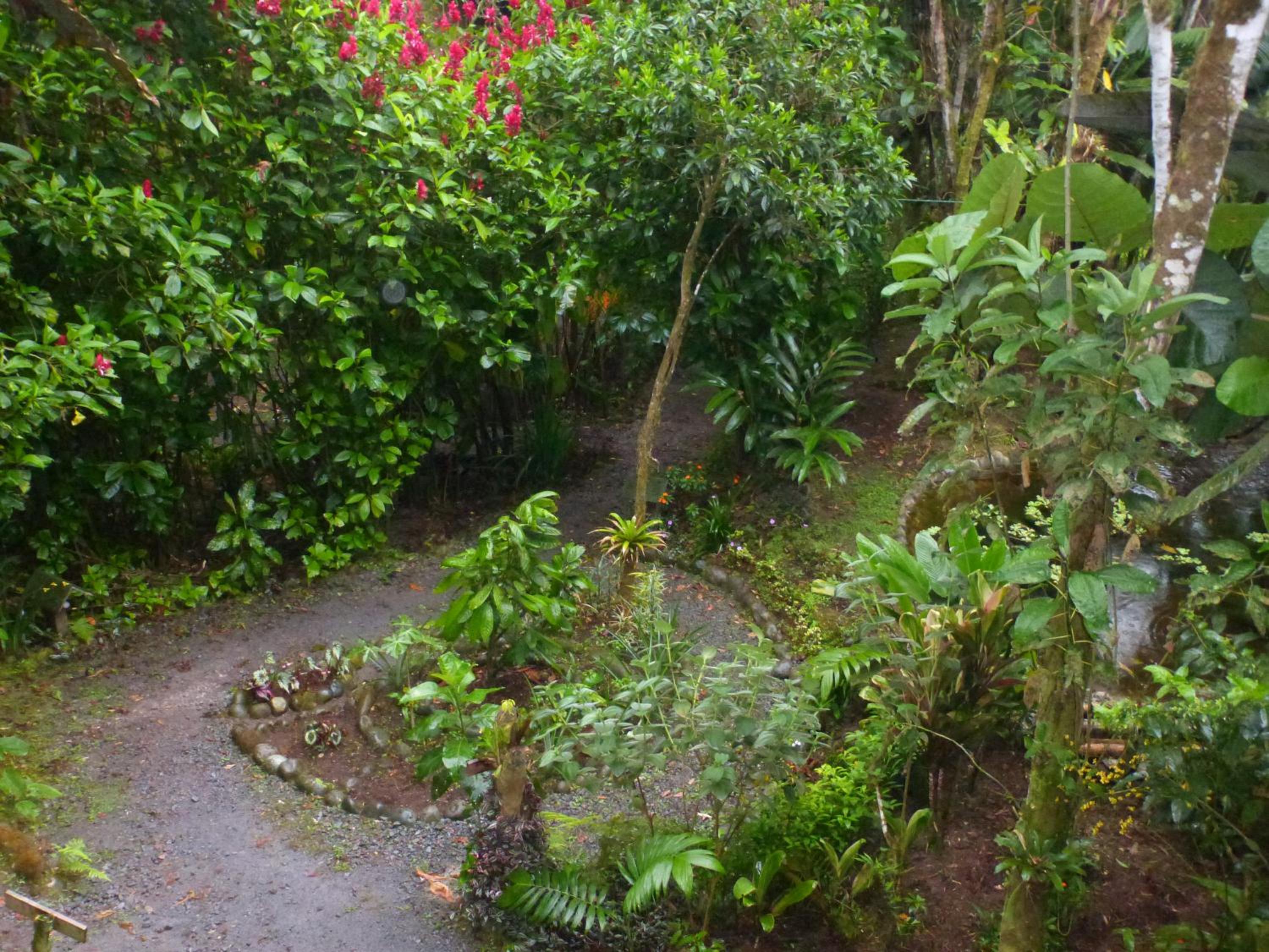 Casa Divina Eco Lodge